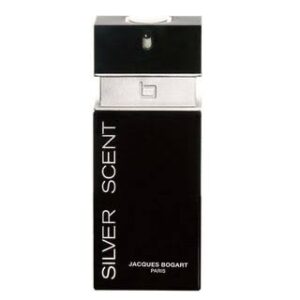 SILVER SCENT 100ml